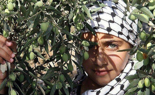 15 Quick Facts About Palestine - PaliRoots