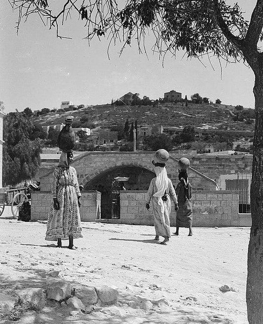 Our Ancestors Are Calling, They Said It's Time to Free Palestine‼️ - PaliRoots