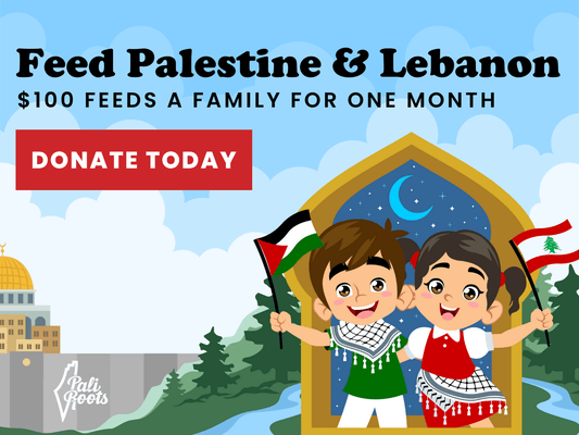 Feed Palestine & Lebanon Charity Campaign - PaliRoots