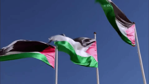 The ONLY Travel Guide You'll Ever Need When Visiting Palestine - PaliRoots