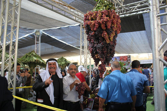Annual Hebron Grape Festival in Palestine - PaliRoots