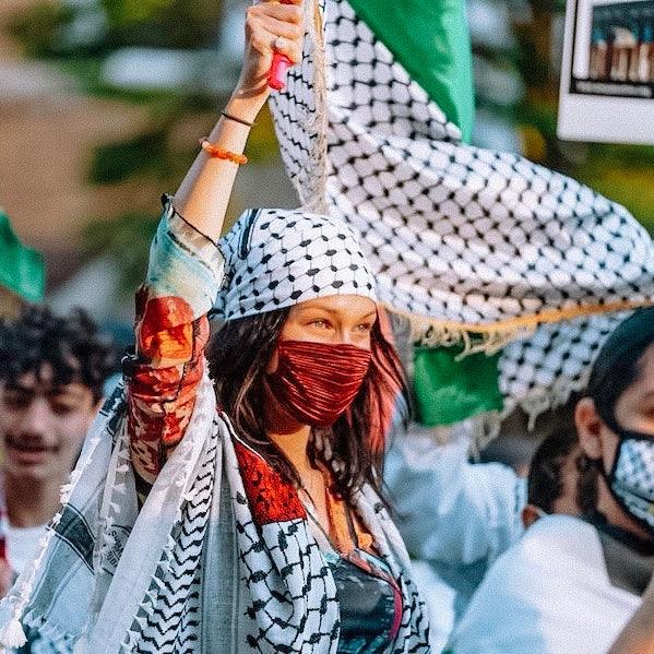 9 Celebrities That Showed Their Solidarity with Palestine - PaliRoots
