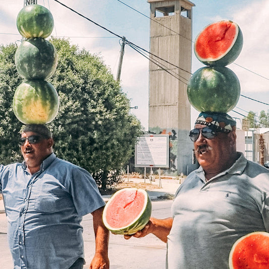 The Watermelon | A Palestinian Symbol of Resistance 🍉 - PaliRoots