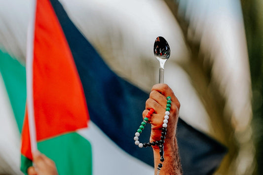 6 Palestinians + The Spoon | A Serving of Resistance - PaliRoots