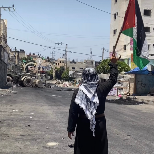 From Raids to Resistance: The Struggle in Jenin