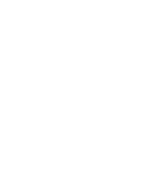 PaliRoots