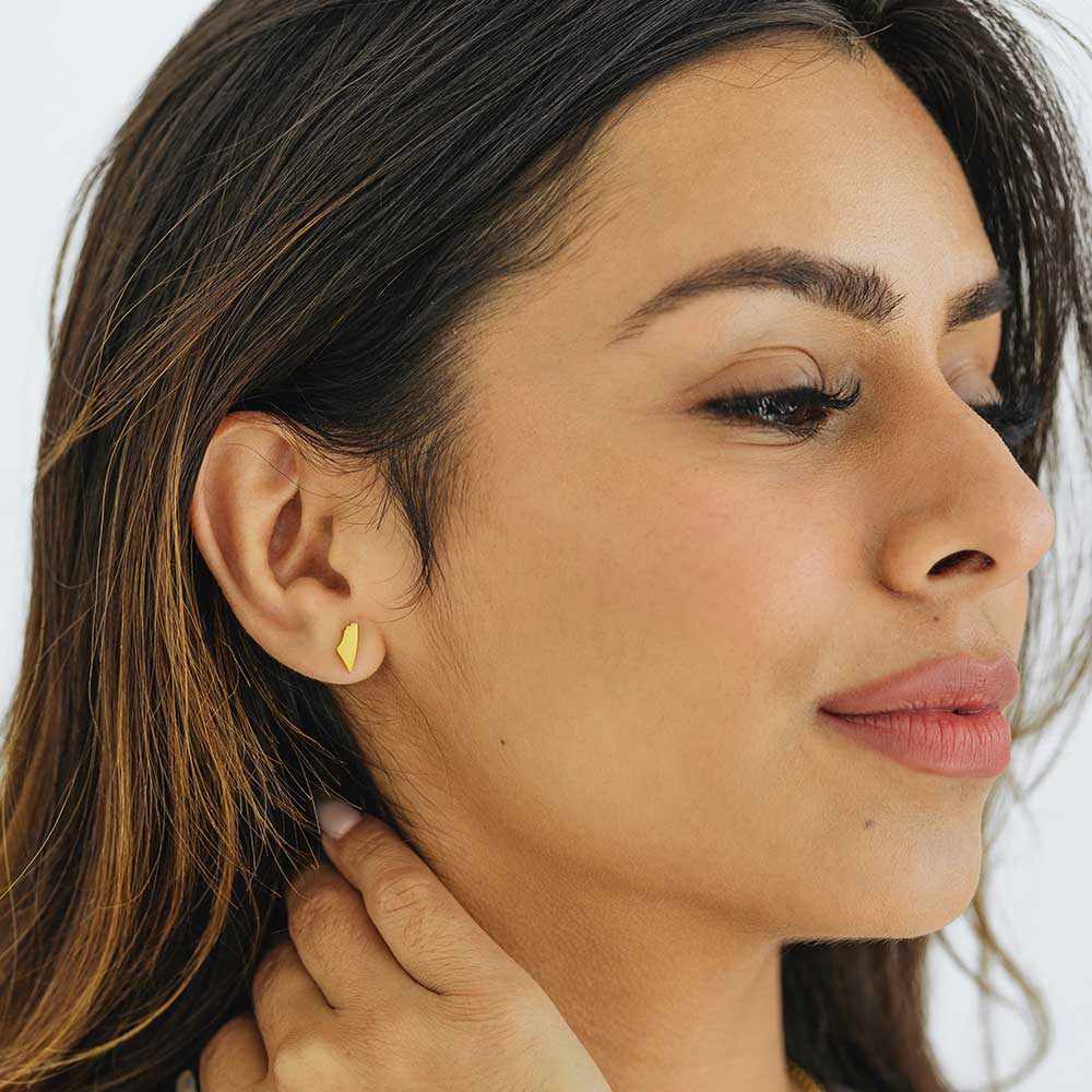 stud earrings gold